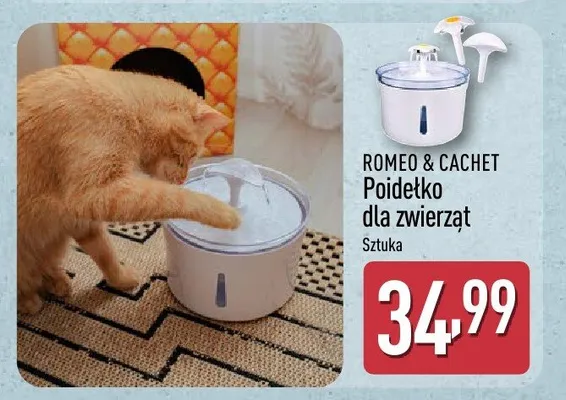Aldi ma to coś!, strona 3 promocja w Aldi