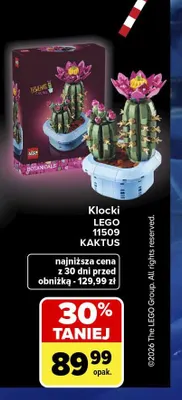 Klocki LEGO 11509 Kaktus promocja w Carrefour