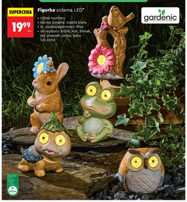 Figurka solarna LED ślimak promocja w Biedronka