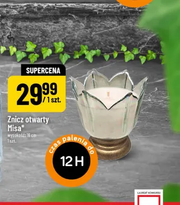 Znicz otwarty Misa promocja w POLOmarket