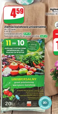 Ziemia kwiatowa uniwersalna promocja w Dino