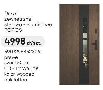Drzwi zewnętrzne stalowo - aluminiowe Topos promocja w Castorama