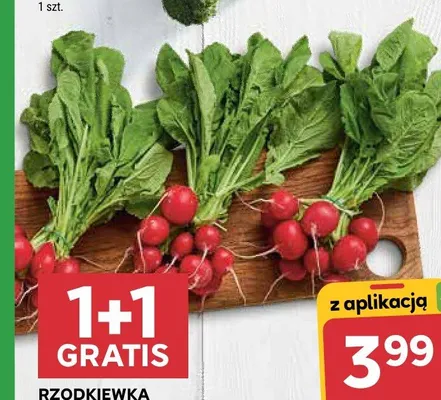 Rzodkiewka promocja w Stokrotka