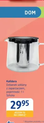 Dzbanek szklany z zaparzaczem Kalldera 1 l promocja w Drogerie DM