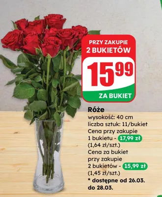 Róże wysokość: 40 cm promocja w Dino