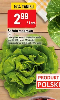 Sałata masłowa promocja w POLOmarket