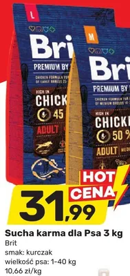 Sucha karma dla psa 3kg smak: kurczak wielkość psa: 1-40kg promocja w Bricomarche