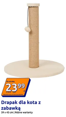 Drapak dla kota z zabawką 39x43 cm promocja w Action