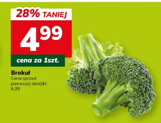 Brokuł promocja w Hitpol