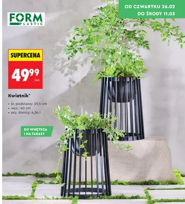 Kwietnik promocja w Biedronka