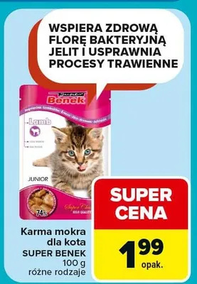 Karma mokra dla kota różne rodzaje promocja w Carrefour Market