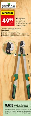 Narzędzia ogrodowe z teleskopowymi uchwytami sekator kowadelkowy promocja w Biedronka