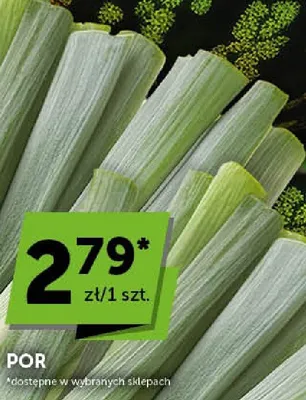 Por promocja w Groszek