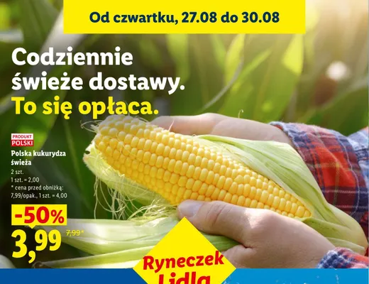 Kukurydza polska świeża promocja w Lidl