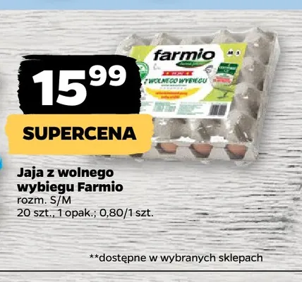 Jajka kurze z wolnego wybiegu Farmio rozm. S/M promocja w Netto