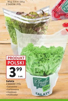 Sałata karbowana Z Sadów i Pól promocja w Intermarche