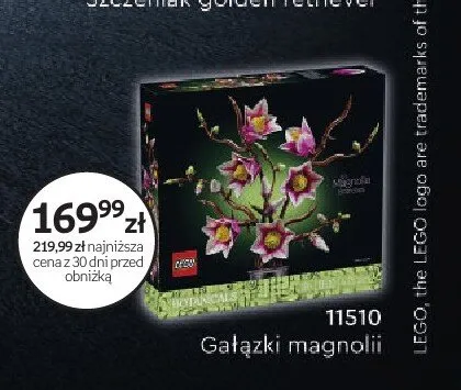 Klocki LEGO 11510 Gałązki magnolii promocja w Empik