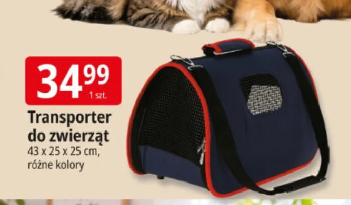 Transporter do zwierząt promocja w Leclerc