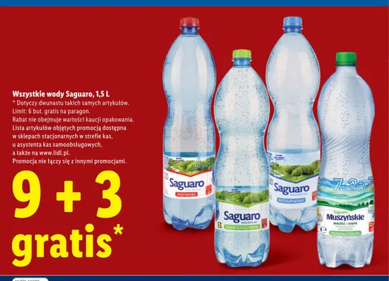 Woda źródlana Saguaro średnio gazowana promocja w Lidl