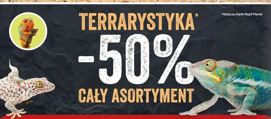 Terrarystyka Repti Planet promocja w Super Zoo