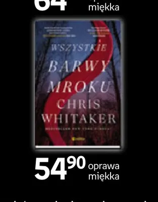 Książka Wszystkie barwy mroku Chris Whitaker promocja w Empik