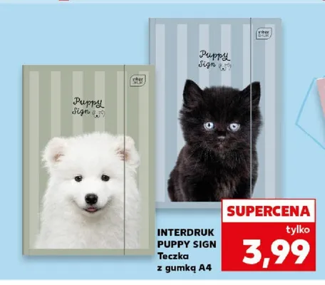 Teczka z gumką A4 Interdruk Puppy Sign promocja w Kaufland