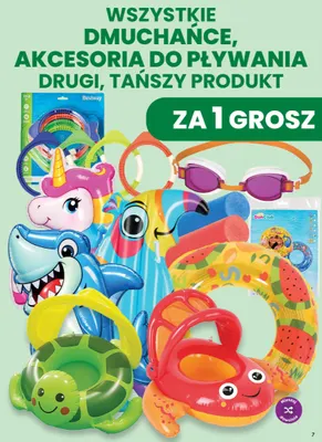 Dmuchańce akcesoria do pływania promocja w Dino