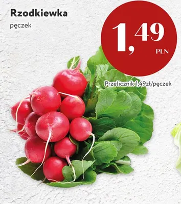 Rzodkiewka promocja w Market Point