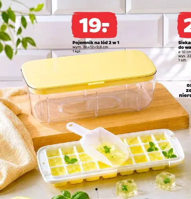 Pojemnik na lód 2 w 1 promocja w Netto