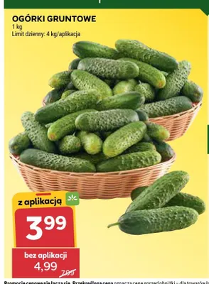 Ogórki gruntowe promocja w Stokrotka