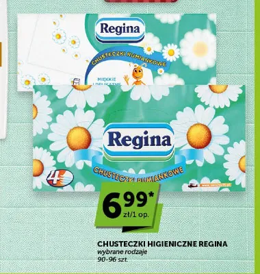 Chusteczki higieniczne REGINA wybrane rodzaje promocja w Groszek