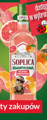 Wódka Soplica Egzotyczna Grejpfrut Mandarynka promocja w Biedronka