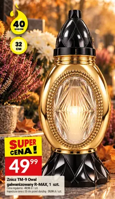 Znicz TM-9 Owal galwanizowany R-MAX promocja w Twój Market