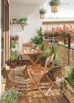 Pelargonia Calliope mix promocja w Castorama