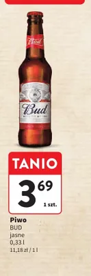 Piwo Bud jasne promocja w Intermarche