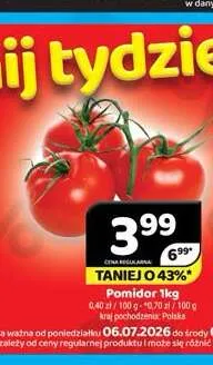 Pomidor promocja w Delfin