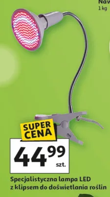 Specjalistyczna lampa LED z klipsem do doświetlania roślin promocja w Auchan