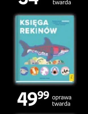 Książka Księga rekinów Wilga promocja w Empik