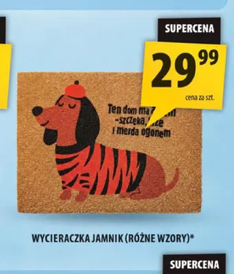 Wycieraczka Jamnik promocja w Arhelan