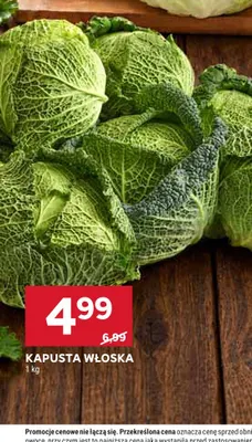 Kapusta włoska promocja w Stokrotka