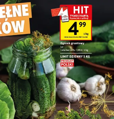Ogórek gruntowy luz promocja w Intermarche
