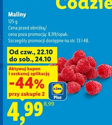 Maliny promocja w Lidl