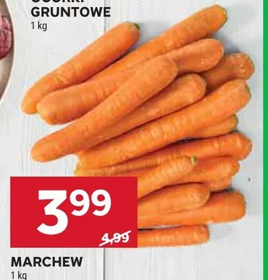 Marchew promocja w Stokrotka