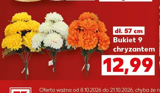 Bukiet 9 chryzantem promocja w Kaufland