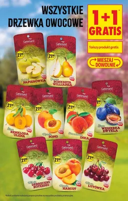 Brzoskwinia Inka Gartenland promocja w Biedronka