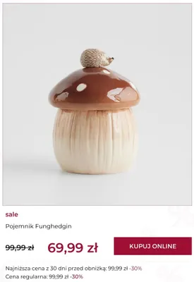 Pojemnik Funghedgin home & you promocja w home&you