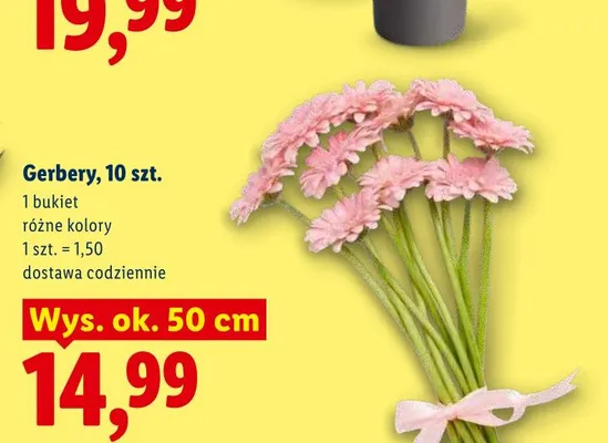 Gerbery 10-pak wys. ok. 50 cm promocja w Lidl