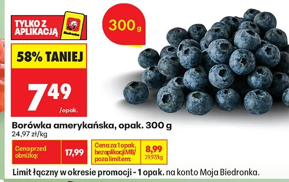 Borówka amerykańska promocja w Biedronka