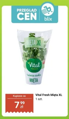 Mięta XL promocja w Biedronka