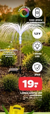 Lampa solarna LED multikolor wym. 13,5x5x9,7cm promocja w Netto